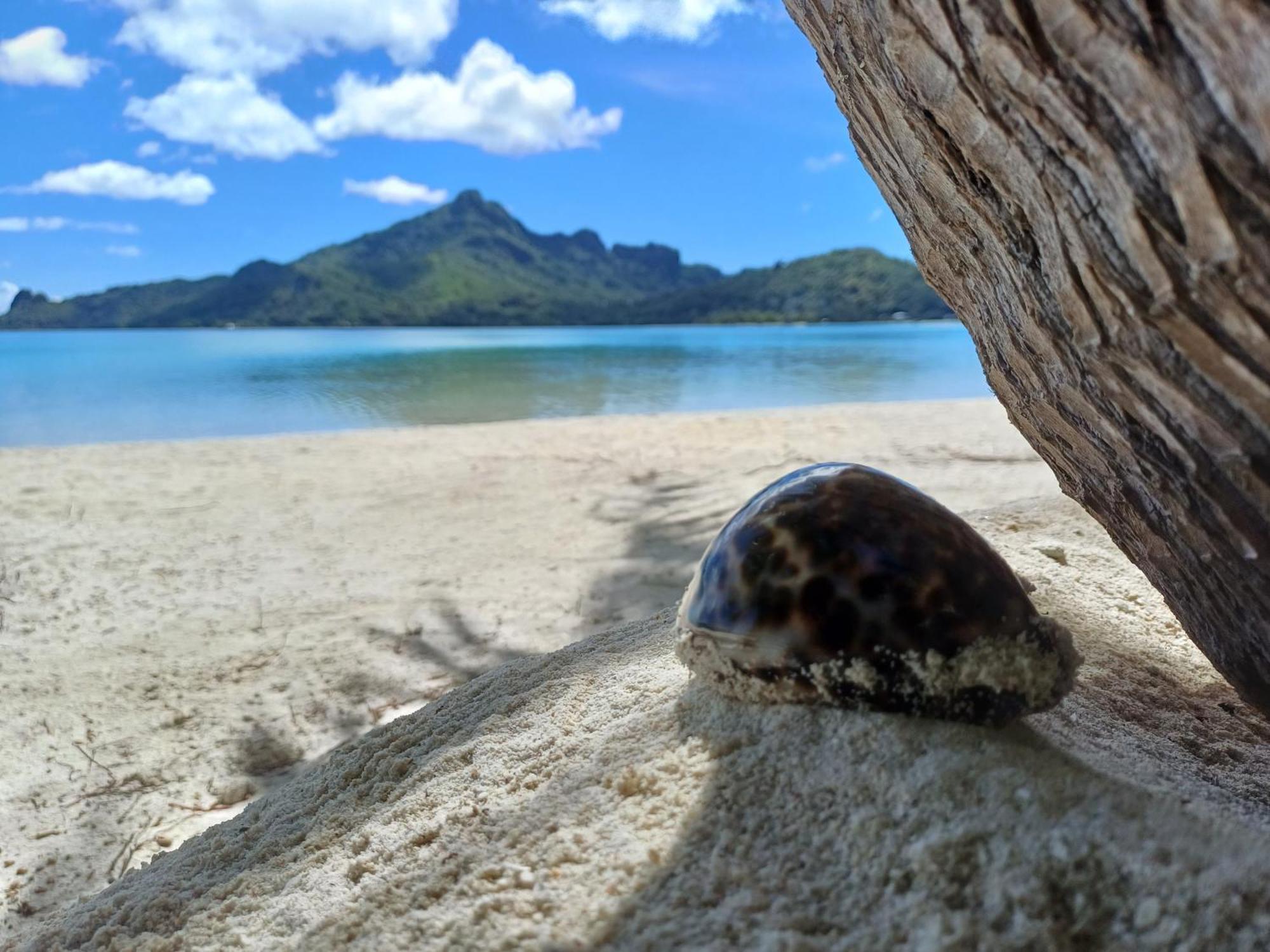 Poemanahere Island Camping A Maupiti Te-Fare-Arii ภายนอก รูปภาพ