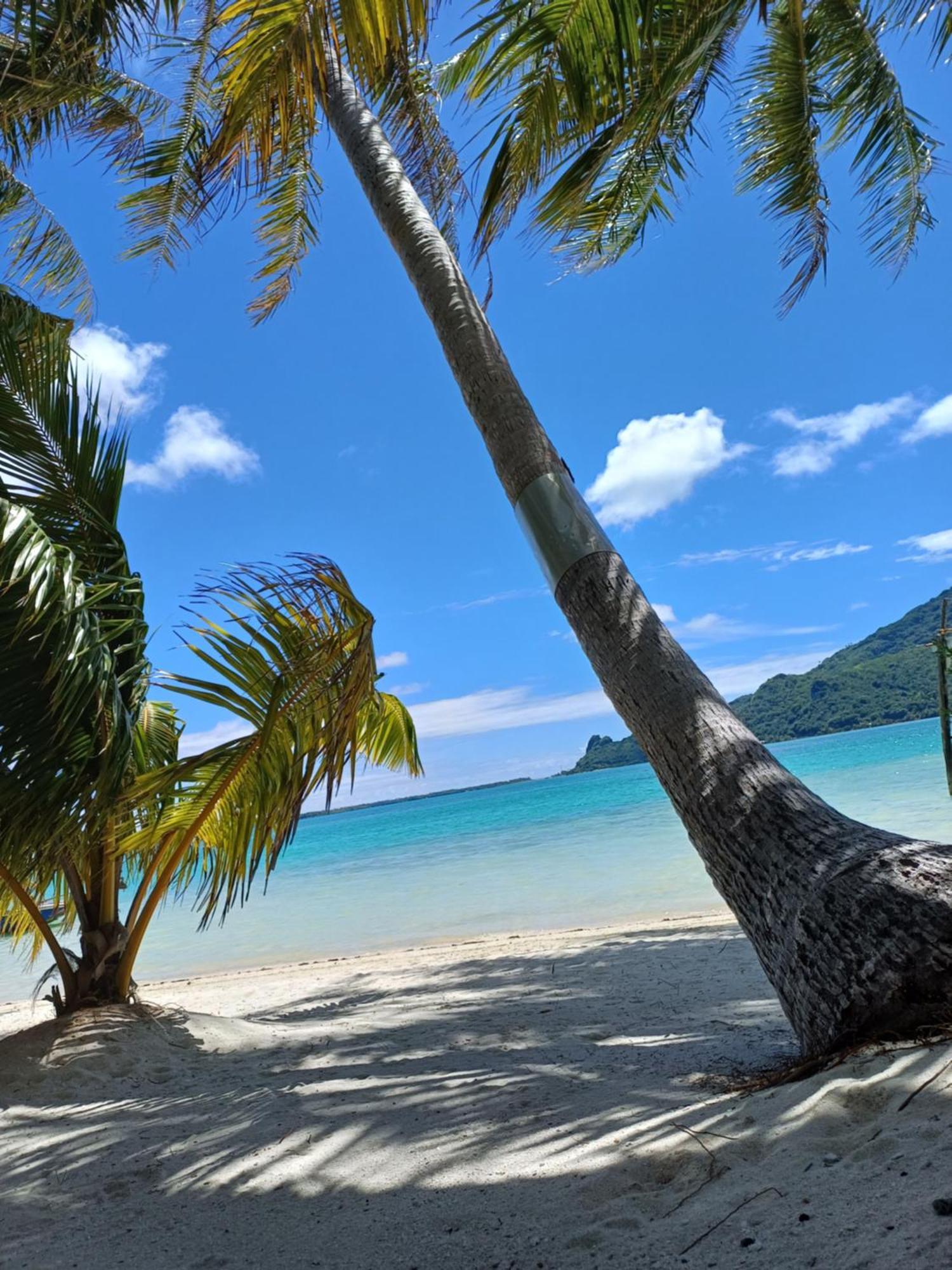 Poemanahere Island Camping A Maupiti Te-Fare-Arii ภายนอก รูปภาพ