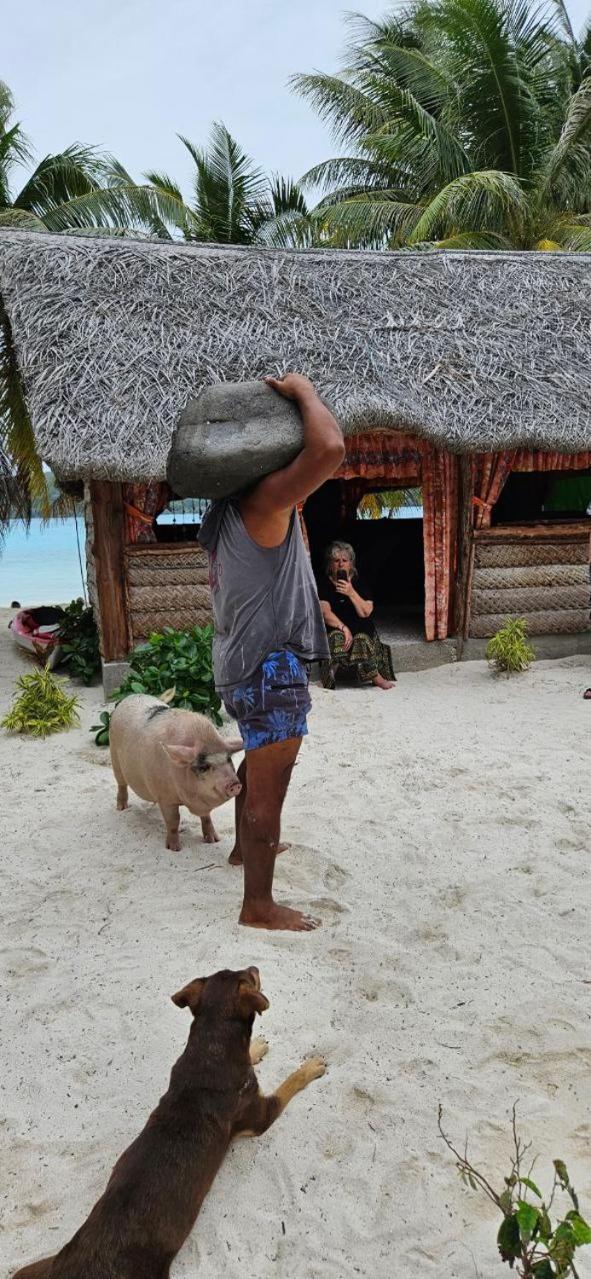 Poemanahere Island Camping A Maupiti Te-Fare-Arii ภายนอก รูปภาพ