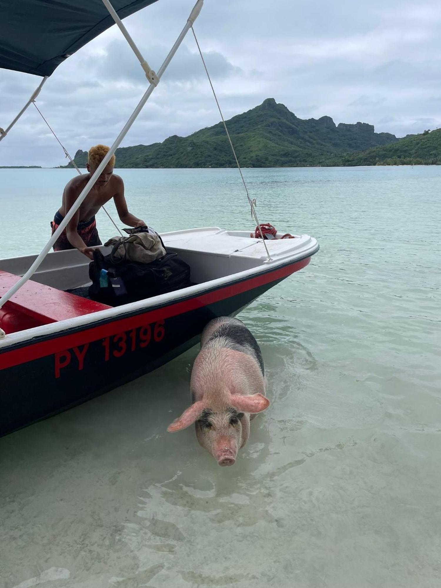 Poemanahere Island Camping A Maupiti Te-Fare-Arii ภายนอก รูปภาพ