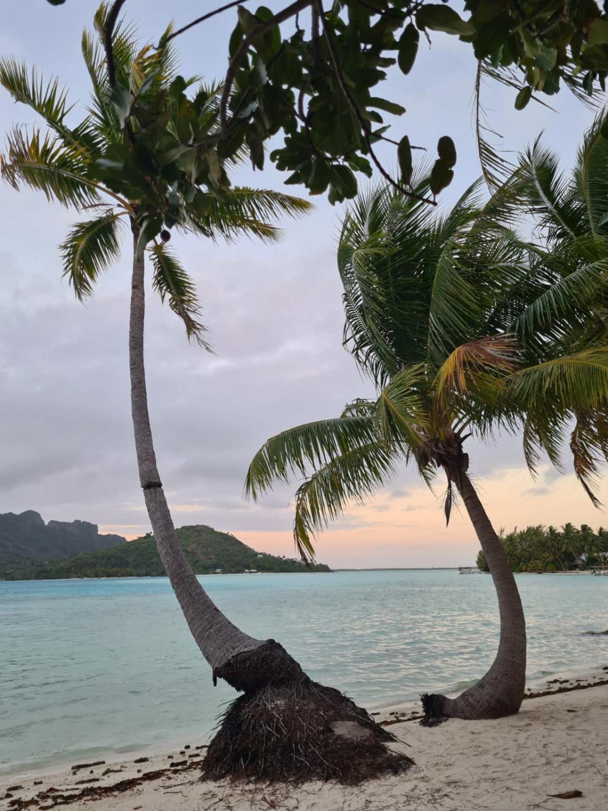 Poemanahere Island Camping A Maupiti Te-Fare-Arii ภายนอก รูปภาพ