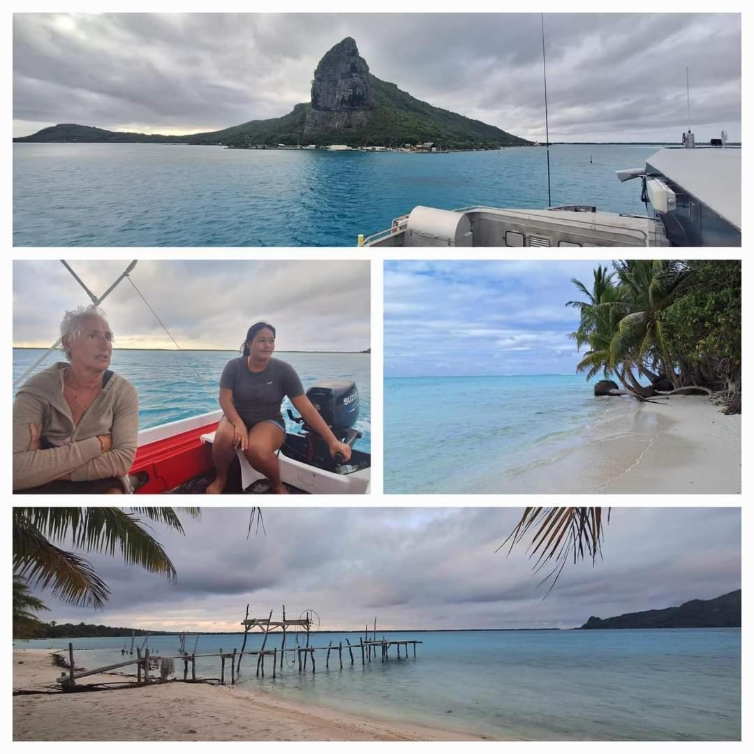 Poemanahere Island Camping A Maupiti Te-Fare-Arii ภายนอก รูปภาพ